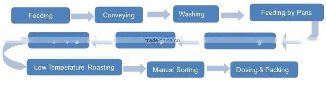 High Automatic Salty Peanut Inshell Production Line Snack Salting Machine