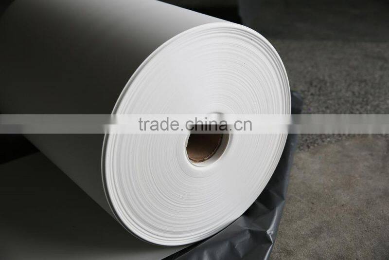 Plastic File Folders with Assorted Color Tabs