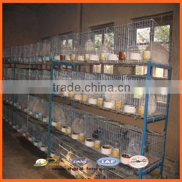 High Quality Galvanized Welded Rabbit Cage Wire Mesh/High Quality Rabbit Cage/Rabbit Farming Cage
