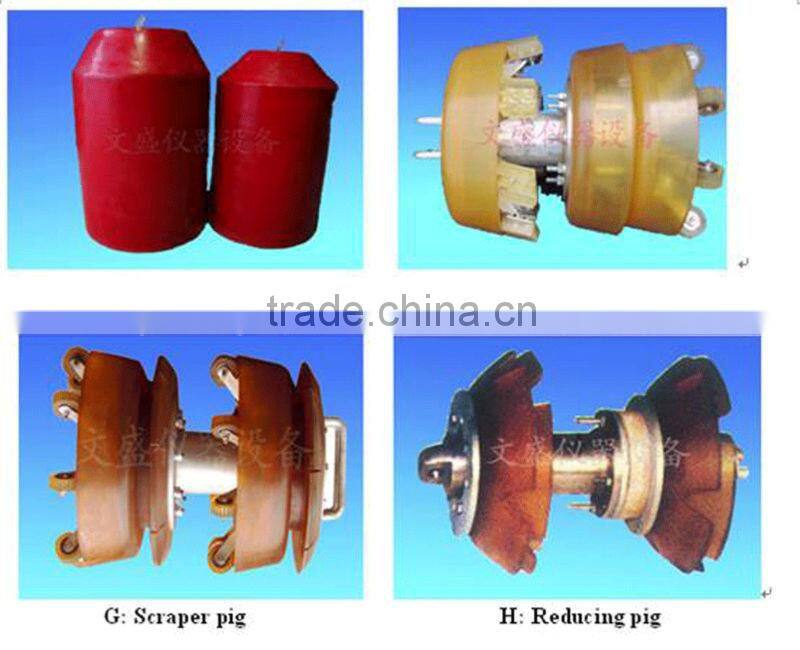 Electronic passing indicator for pigs