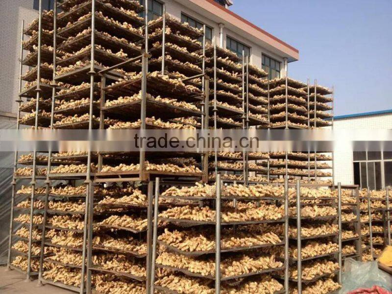 China ginger export Guangzhou ginger office