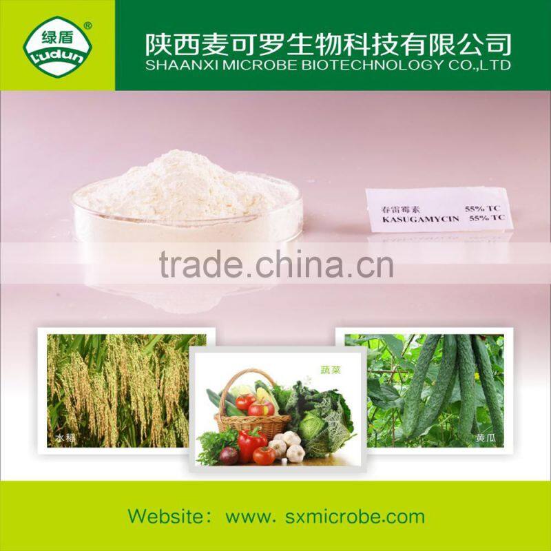 High quality fungicide kasugamycin 70% TC