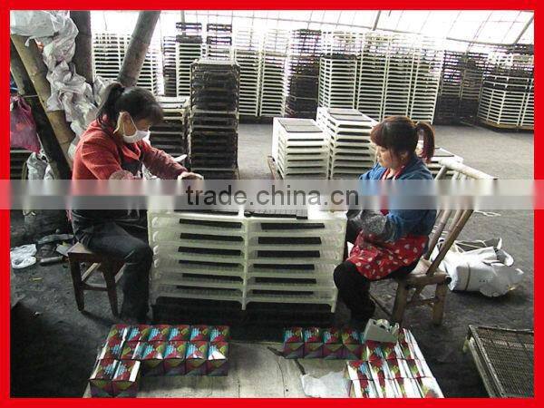 Iran Arabia hottest needed wood charcoal buyers