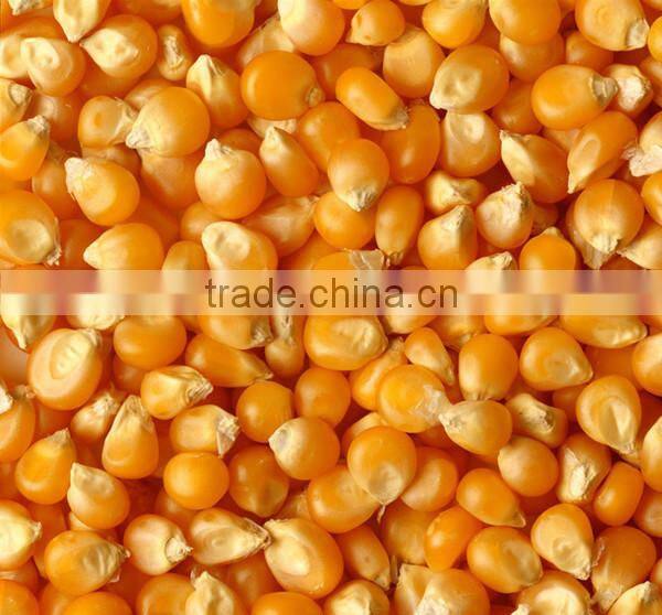 High capacity wheat mill machine for sale