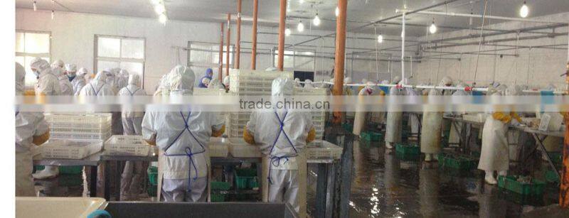 whole round blue swimming crab