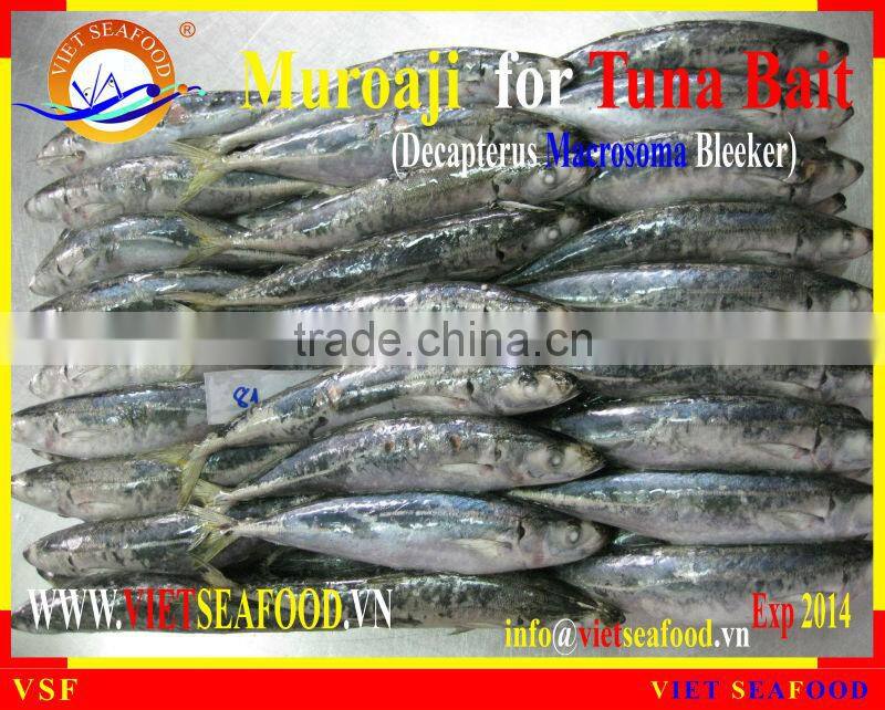 MUROAJI FOR TUNA BAIT