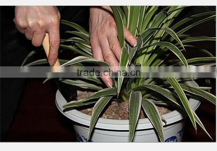 QJ-JG22 Garden tool kit/set with wooden handle