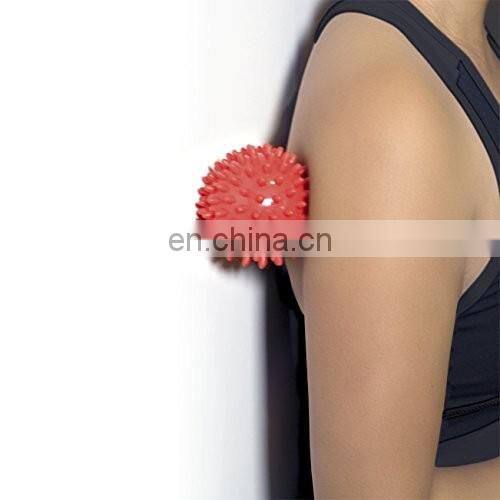 Pet Ball Toy Roller Spiky Massage Ball