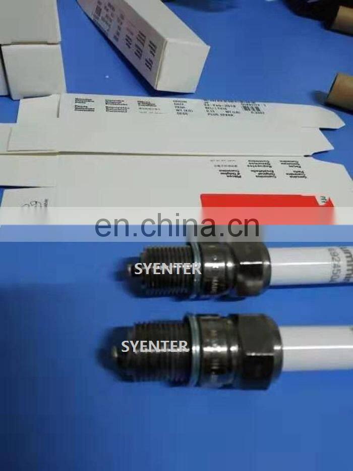 OEM Gas Engine QSK60 Spark Plug 4924504 for Auto Spare Parts