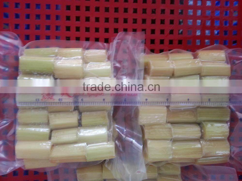 Best Fresh Sweet Sugar Cane from Vietnam