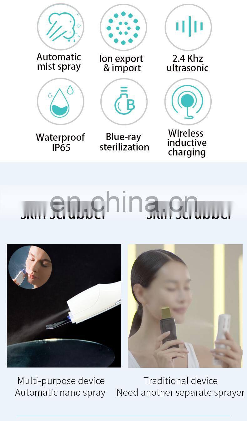 Trending Products 2019 New Arrivals Ultrasonic Pore Face Cleaner Spatula For Skin Care