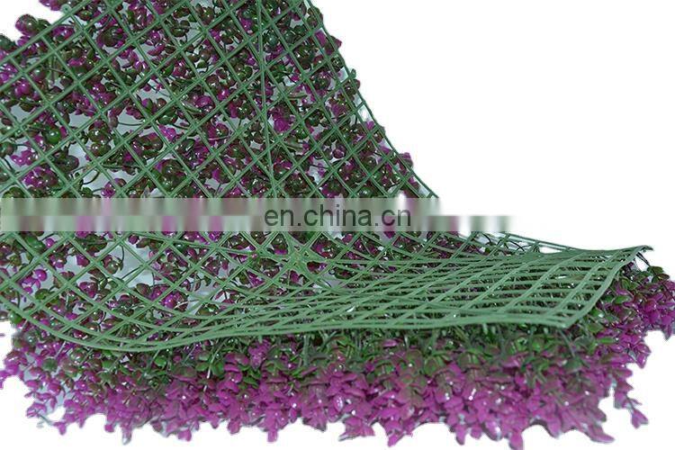 Vertical green wall flower