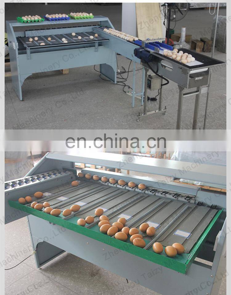 commercial Poultry Equipment Egg Grading Machine egg sorting grading machinery