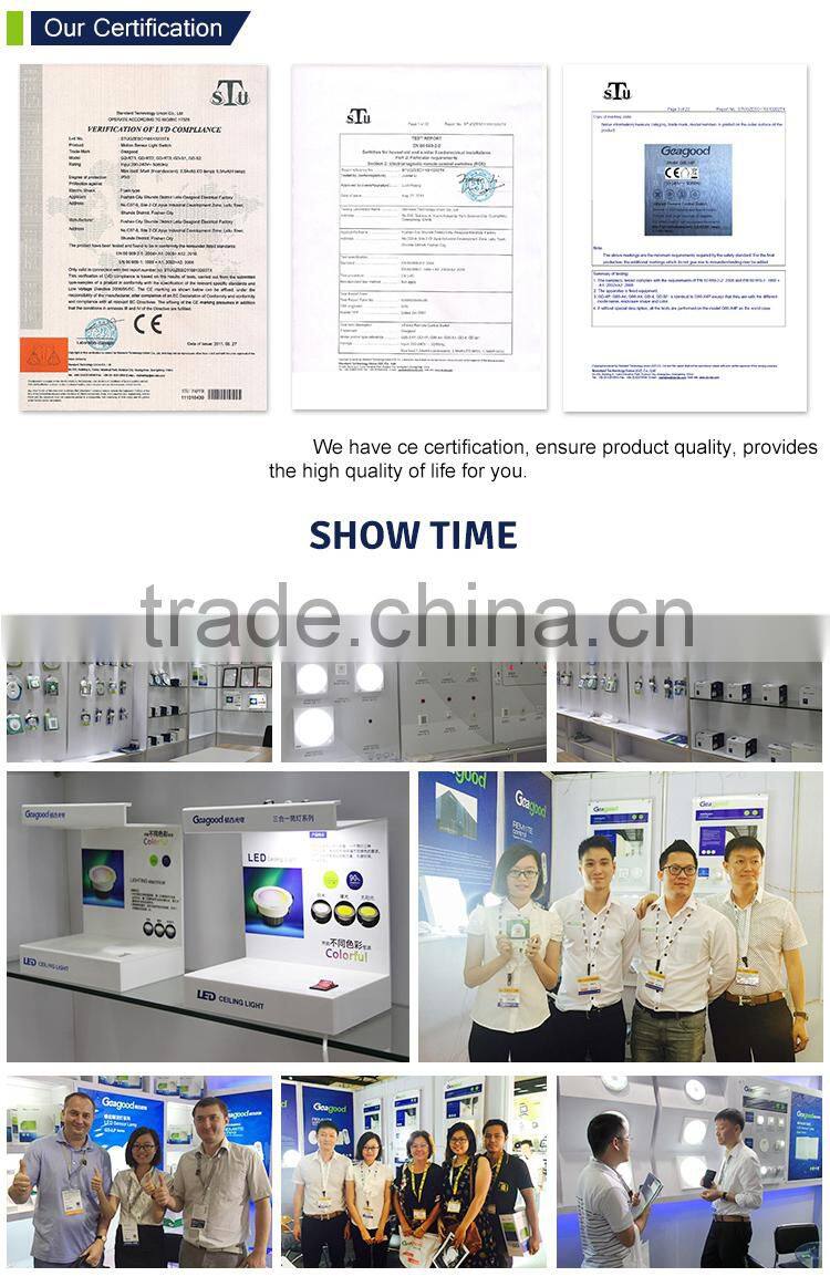 Double function led ceiling wall lights sensor