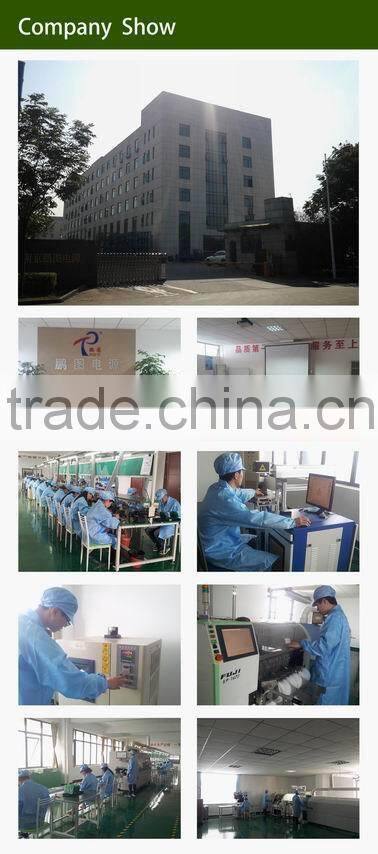 48vdc input switching power supply P25-B series