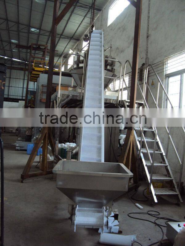 Swan neck conveyor