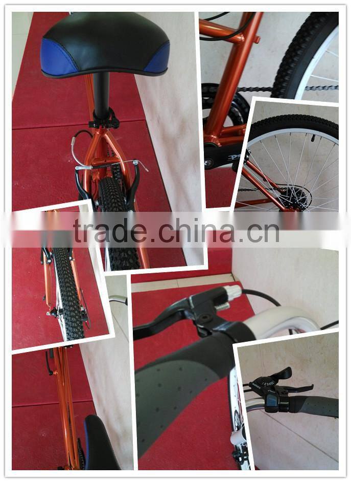 Two People Bikes Tandem Road Touring Comfort Bike 26'' Professional Manufacturers