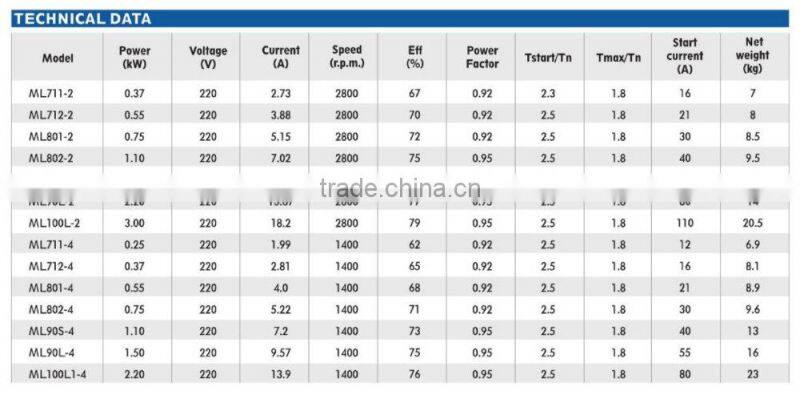 ML single phase 2hp electric motor