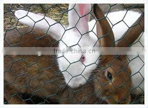 Xinxiang competitive Hexagonal Wire Netting