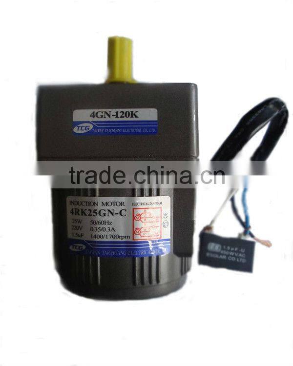 AC Induction motor with Gearhead