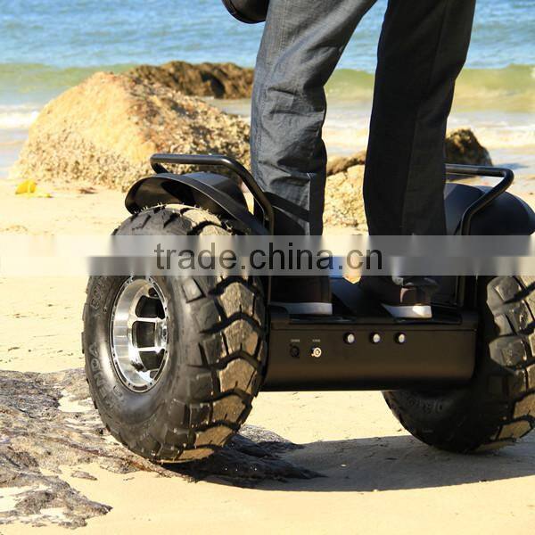 Escooter Fashion and elegant appearance 2 wheel stand up electric scooter germany street legal