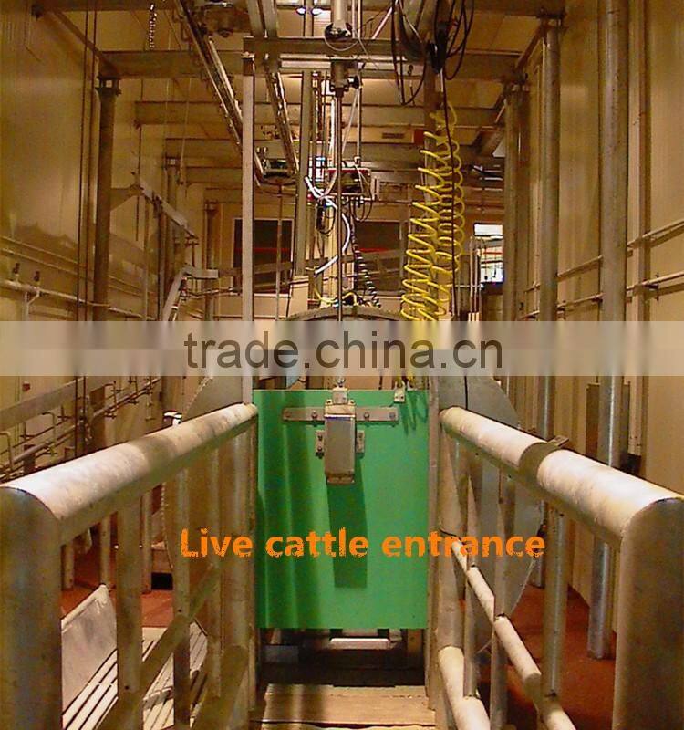 Livestock cattle killbox for jewish slaughter as cow killing machine