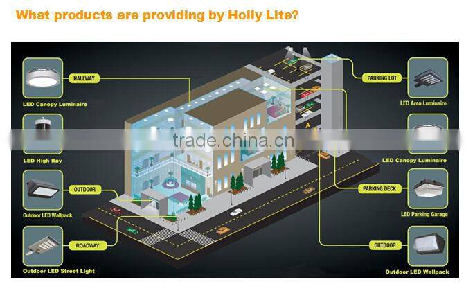 Holly Lite Newly designed led pendant light with DLC