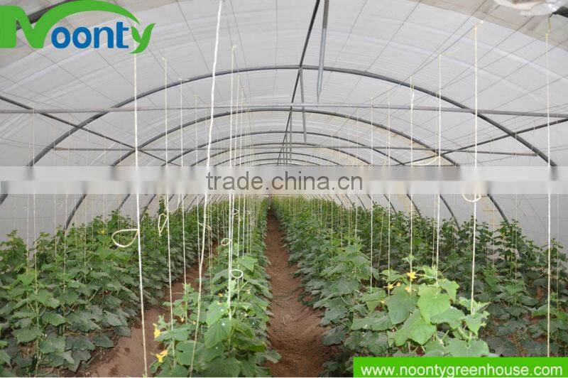 Greenhouse for Vegetable