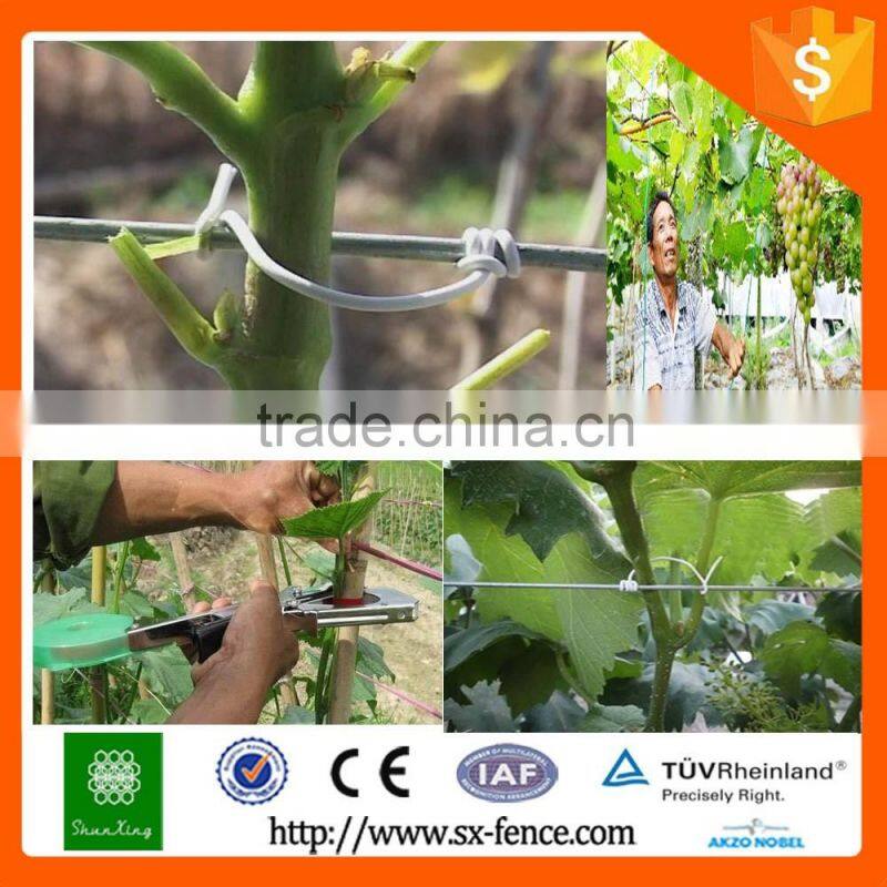 1/4 lbs galvanzied pvc coated 26 Gauge Green Paddle Wire