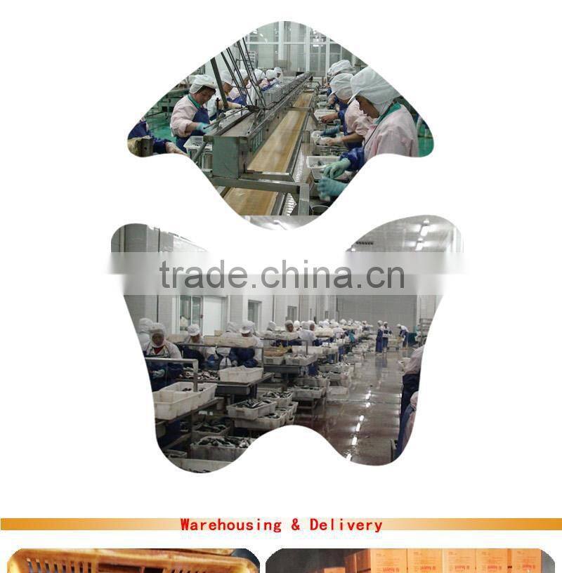 good quality sardines morocco in vegetable oil 125gX50tins