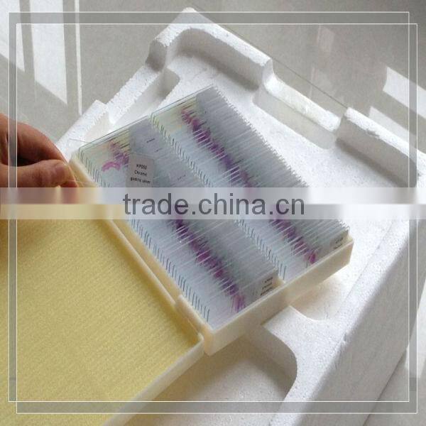 15pcs primary school study microscopic prepared slides set