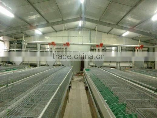 automatic rabbit equipment