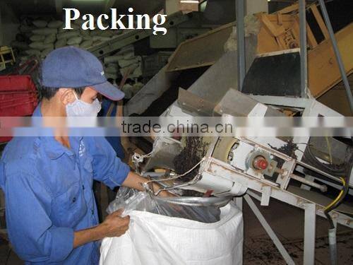 High Quality from Teaparis Vietnam Green Tea Super Pekoe