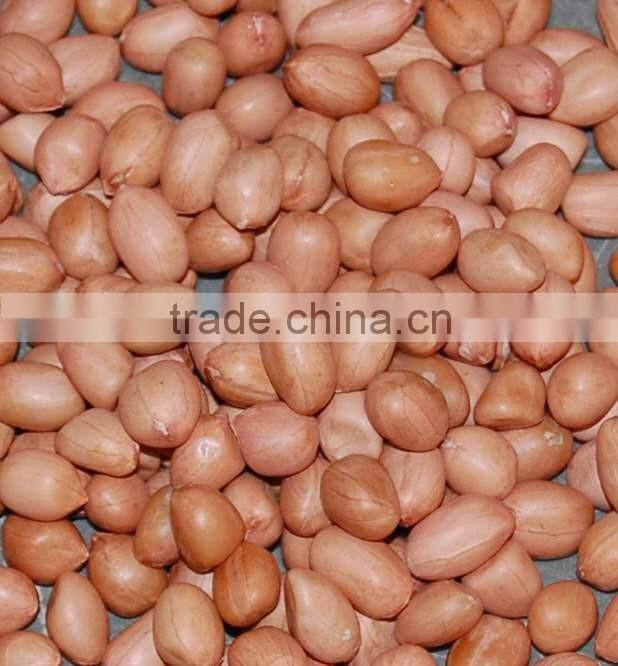 Blanched Peanuts Kernel Price PEANUT BOLD 80-90 COUNT