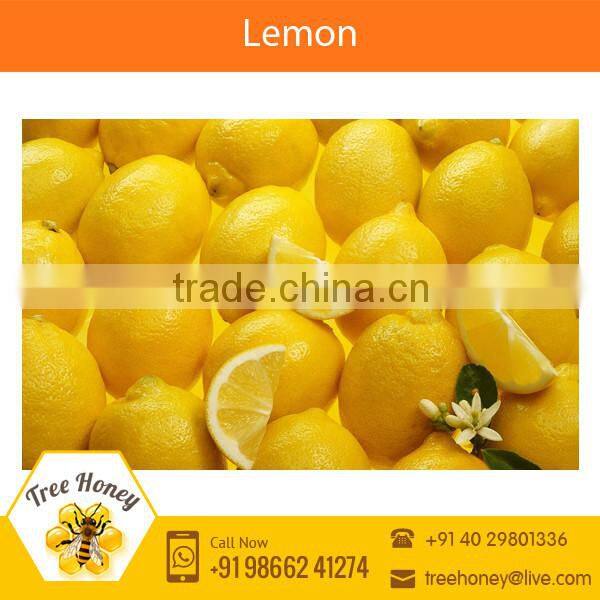 Tangy Fresh Indian Farm Lemon at Attractive Price