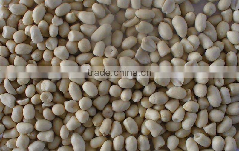 shandong blanched peanut kernel 35/39
