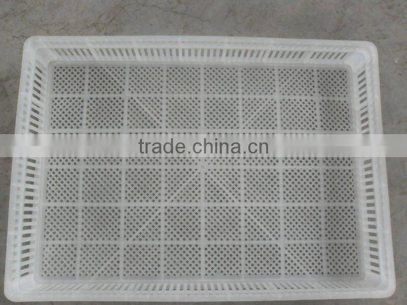 chicken egg basket(200chicks)