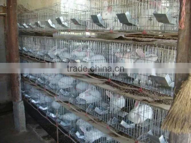 3-layer chicken layer cage price