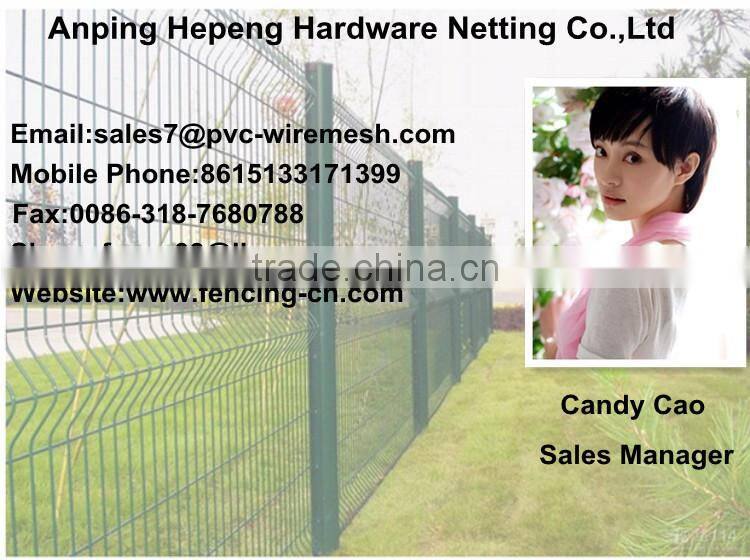 Direct factory welded wire fence mesh 5x5