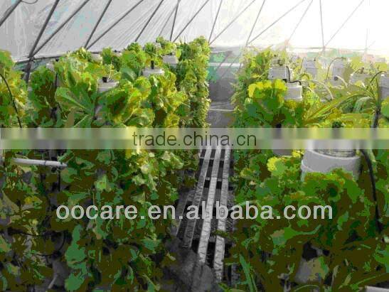Spray cultivation stereo planting system