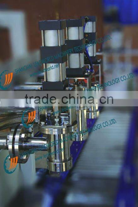 Auto Weighing Filling Production Line