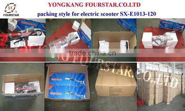 electric scooter /two wheels skateboard for kids/adult