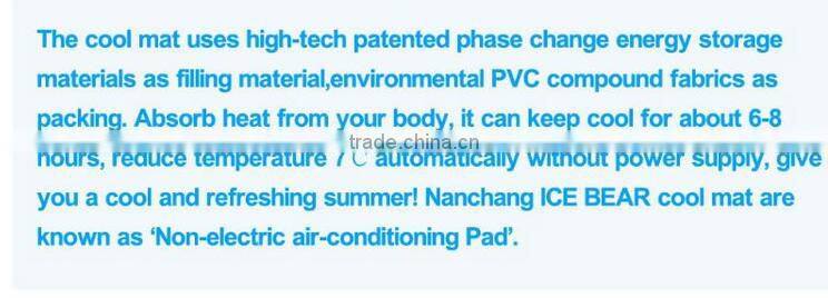 newest and eco-friendly ice pad , ice cushion for computer for pet
