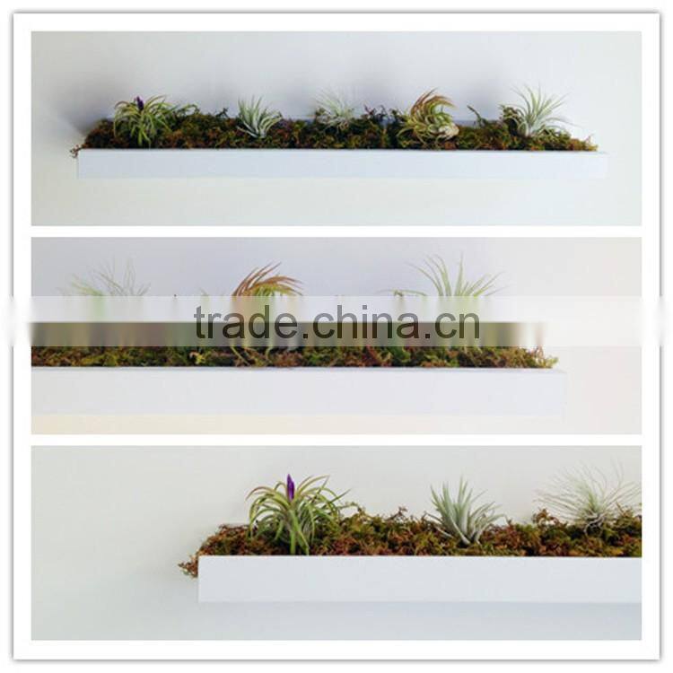 Wholesale plant pot metal living room wall decor