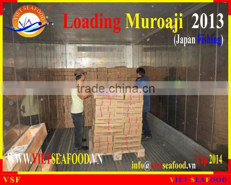LOADING MUROAJI FOR TUNA BAIT