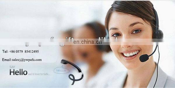 spring festival lucky envelope Chinese new year favor