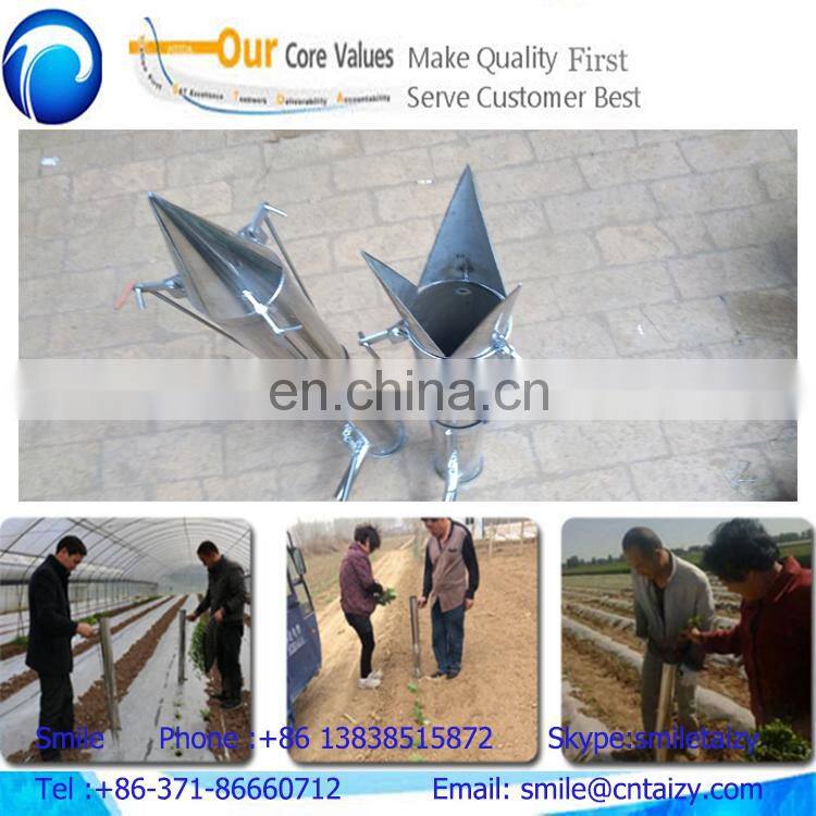 Manual hand seed planter vegetable seedling transplanter