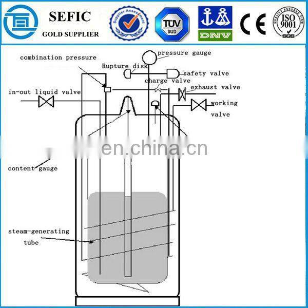 SEFIC Brand Cryogenic Cylinder Dura Cylinder with Pressure Control Regulator