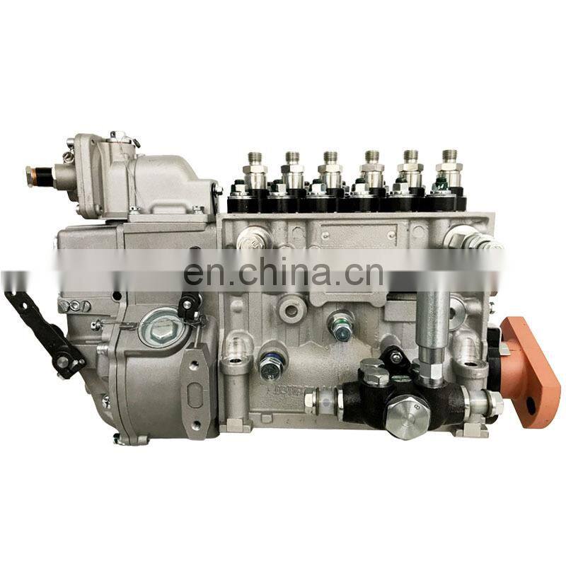 Injection Pump BH6P120015 for WD615.97 Engine