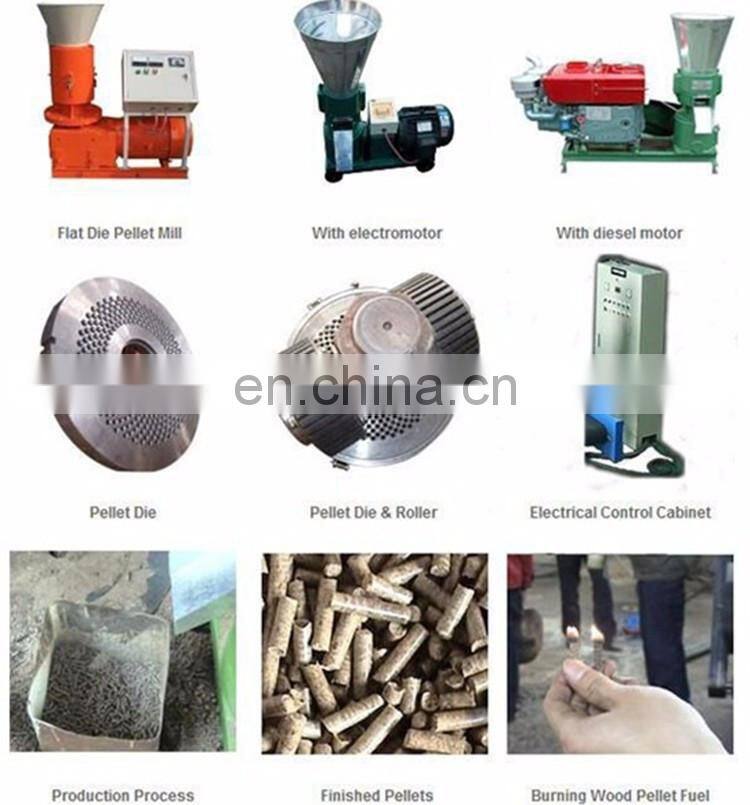 ZLSP-Type 260 Small Flat-Die Biomass Granulation Machine for making Wood Pellet Fuel
